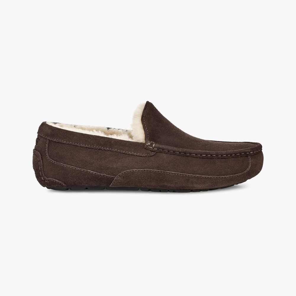 Mocassin UGG Ascot Slip-On Homme Chocolat Soldes 488EJMDV